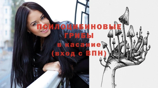 МДПВ Белокуриха