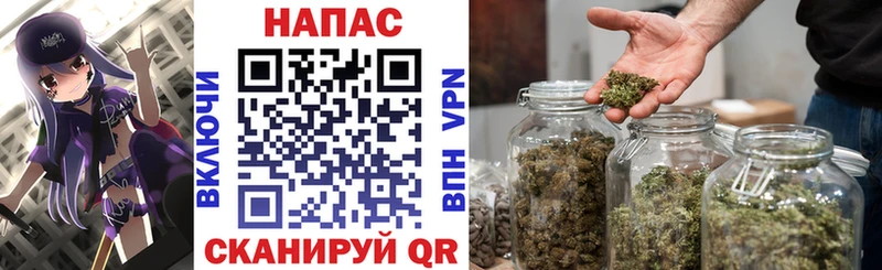 Бошки марихуана марихуана  цена наркотик  Дорогобуж 